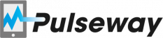 Logo Pulseway